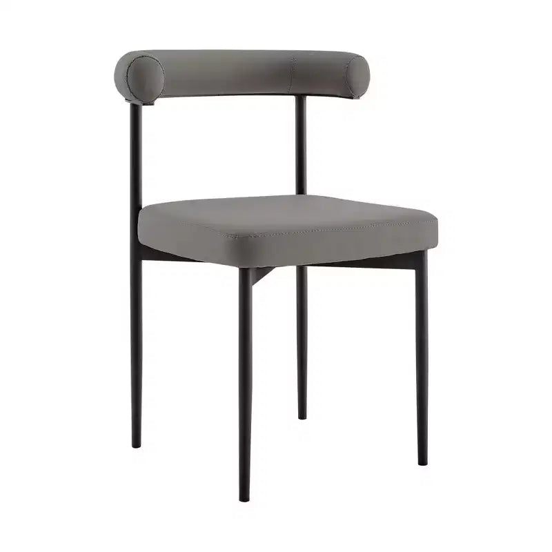 Lot de 2 chaises de salle à manger Shannon en fer et similicuir mat