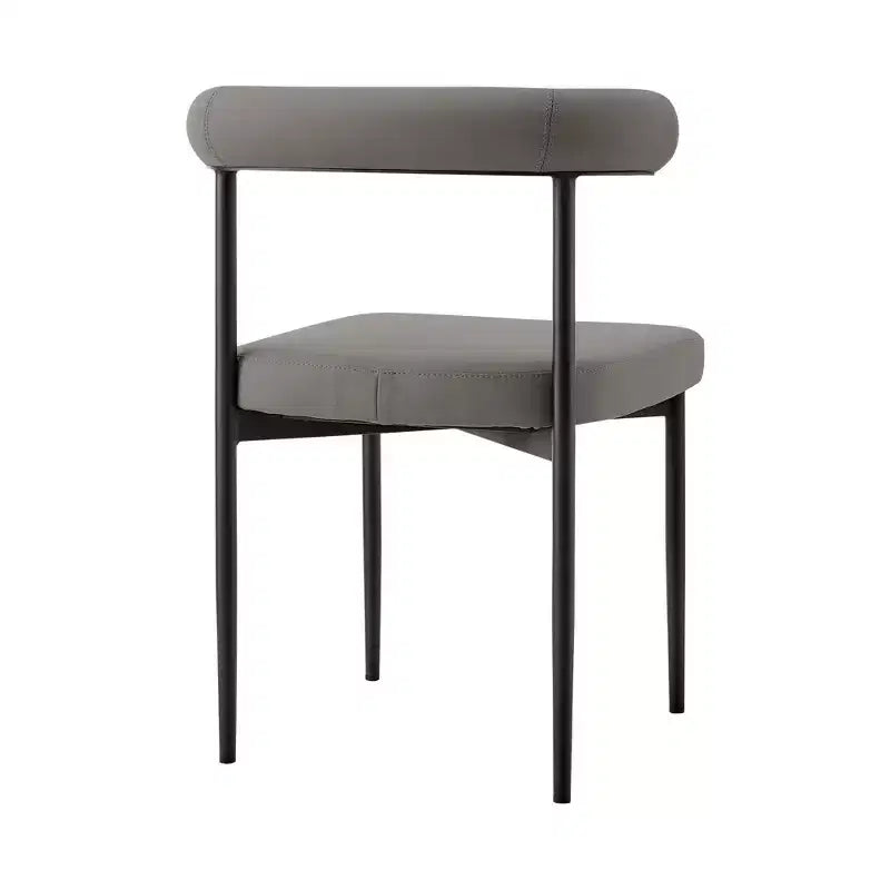Lot de 2 chaises de salle à manger Shannon en fer et similicuir mat