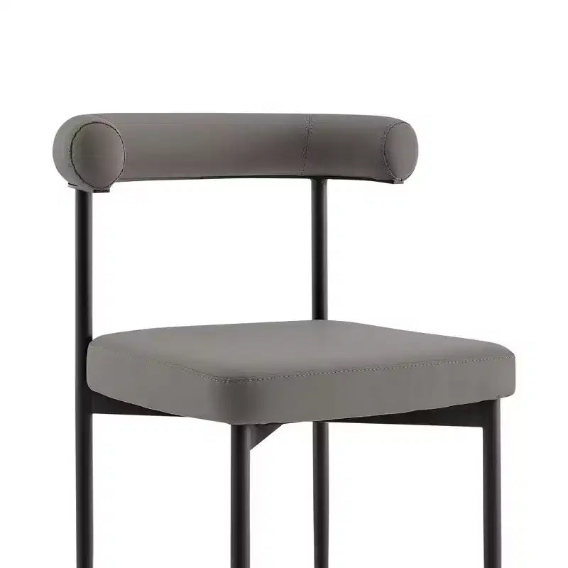 Lot de 2 chaises de salle à manger Shannon en fer et similicuir mat