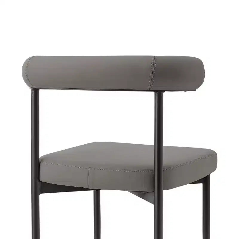 Lot de 2 chaises de salle à manger Shannon en fer et similicuir mat