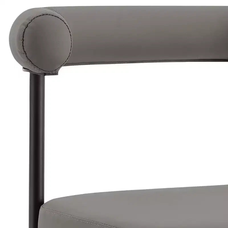 Lot de 2 chaises de salle à manger Shannon en fer et similicuir mat